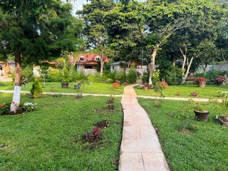 Verde 1