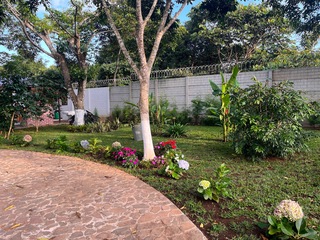 Verde 2