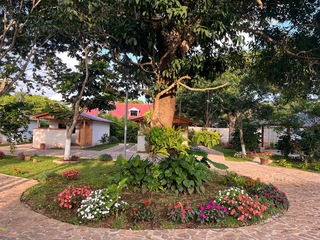 Verde 4